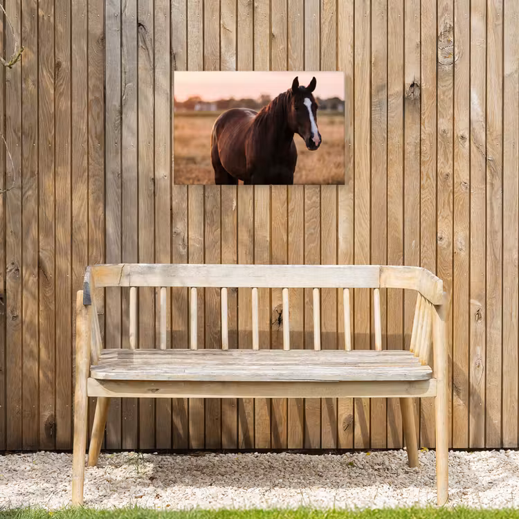 Paard - Zonsondergang - Bruin Tuinposter op houten frame 2 cm dik klein -sfeer4