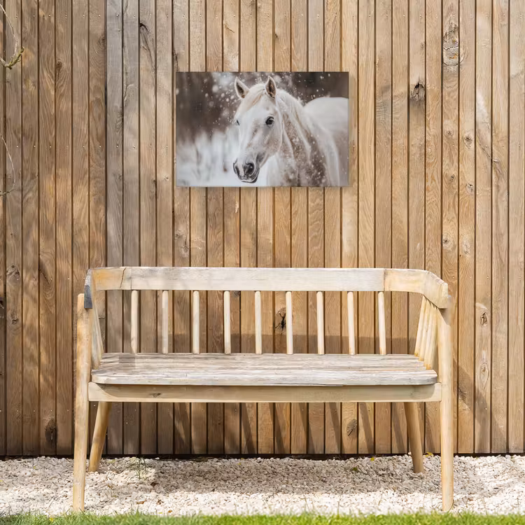 Paard - Wit - Winter - Natuur - Sneeuw - Dieren Tuinposter op houten frame 2 cm dik klein -sfeer4