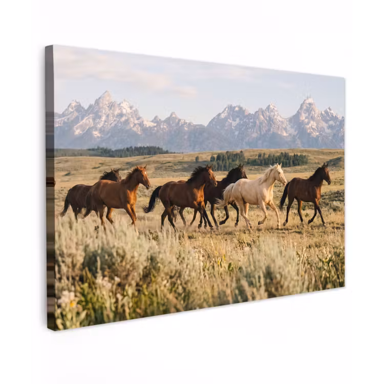 Paarden - Kudde - Bergen - Vrijheid - Wild Tuinposter op houten frame 2 cm dik klein -3d