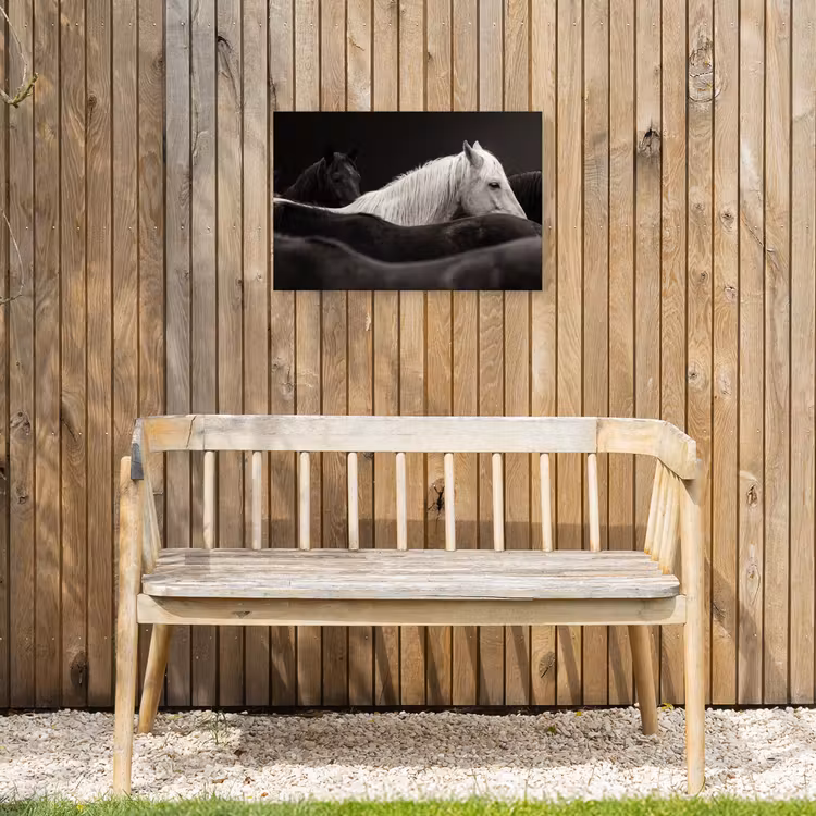 Paarden - Zwart - Wit - Kudde Tuinposter op houten frame 2 cm dik klein -sfeer4