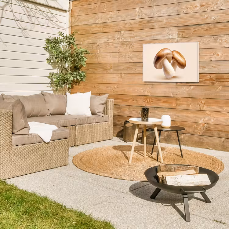 Champignons - Zacht - Beige Tuinposter op houten frame 2 cm dik klein -sfeer2