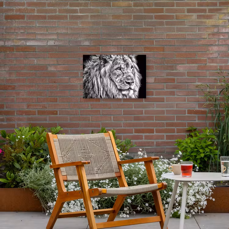 Portret - Leeuw - Zwart wit Tuinposter op houten frame 2 cm dik klein -sfeer3
