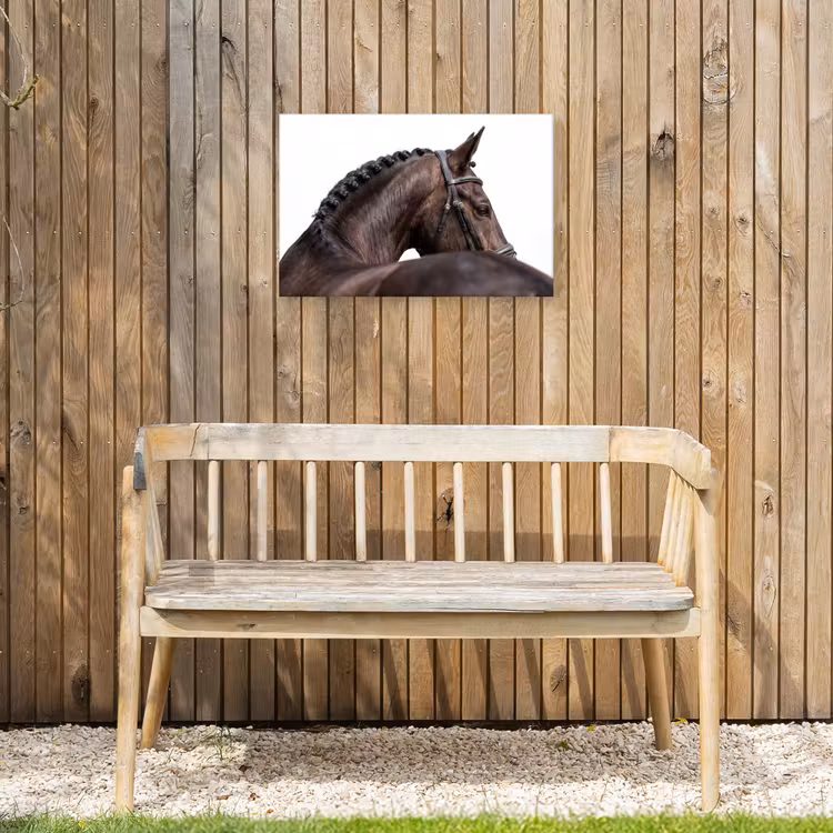 Portret - Paard - Elegant Tuinposter op houten frame 2 cm dik klein -sfeer4