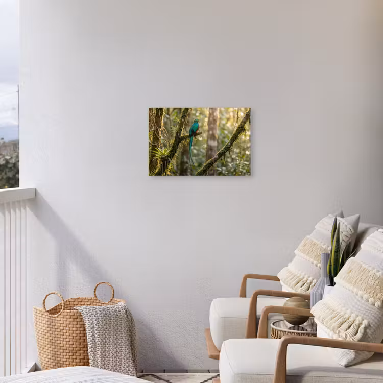 Quetzal - Jungle - Natuur - Groen Tuinposter op houten frame 2 cm dik klein -sfeer1