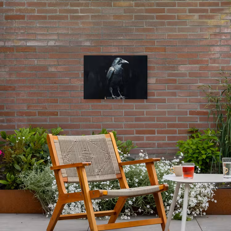 Raaf - Vogels - Zwart Tuinposter op houten frame 2 cm dik klein -sfeer3