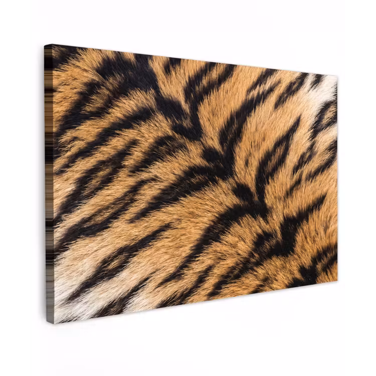 Realistisch - Tijgervacht - Zwart Tuinposter op houten frame 2 cm dik klein -3d