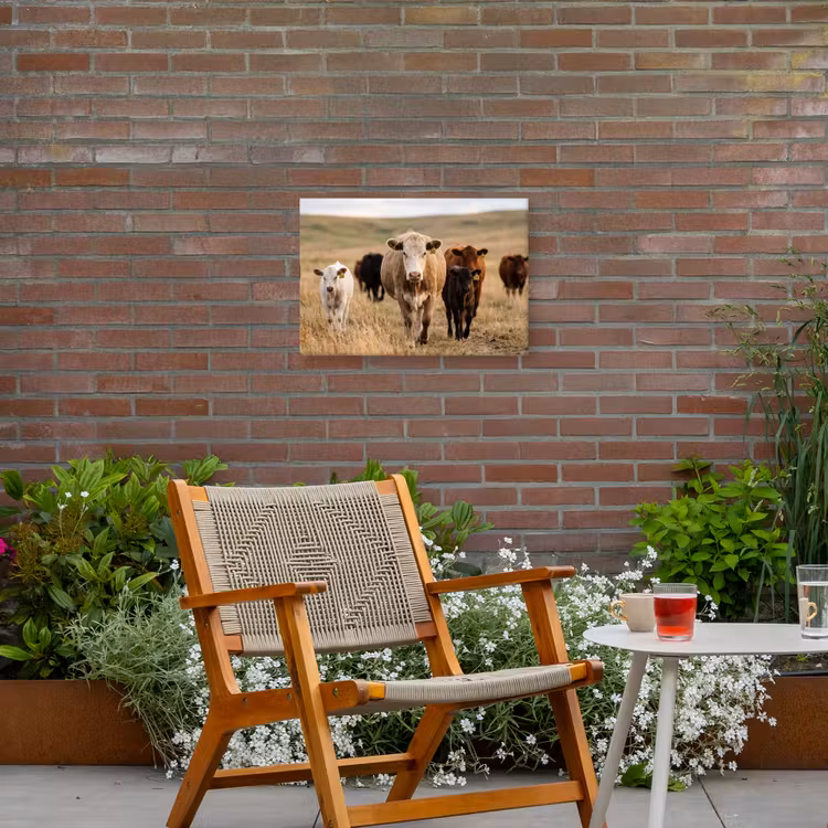 Runderen - Kudde - Landschap - Weide - Rustig Tuinposter op houten frame 2 cm dik klein -sfeer3