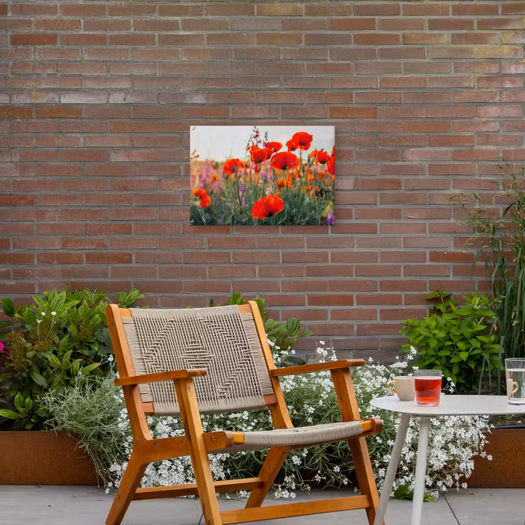 Rode klaprozen in de avondzon Tuinposter op houten frame 2 cm dik klein -sfeer3