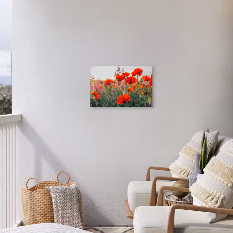 Rode klaprozen in de avondzon Tuinposter op houten frame 2 cm dik klein -sfeer1