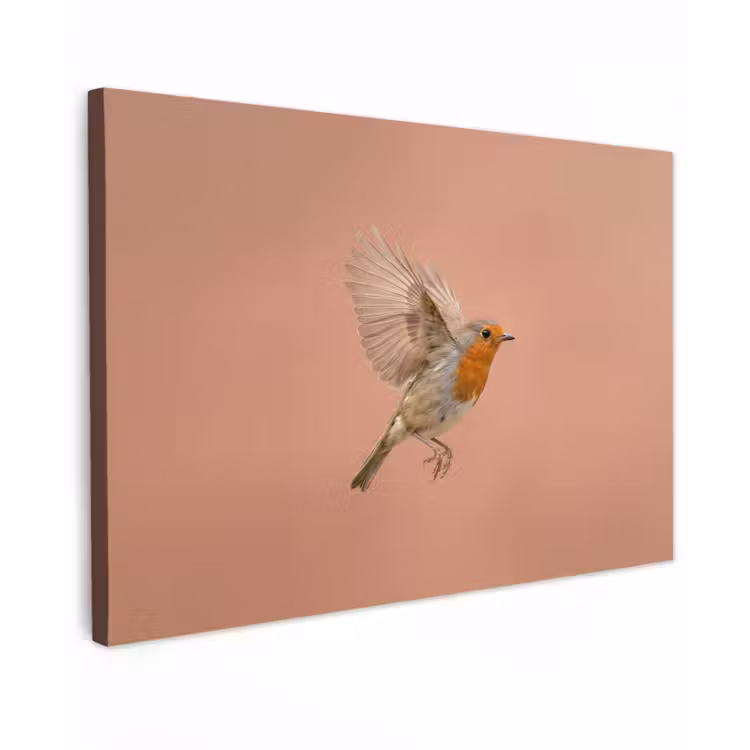 Roodborst - Natuur - Roze Tuinposter op houten frame 2 cm dik klein -3d