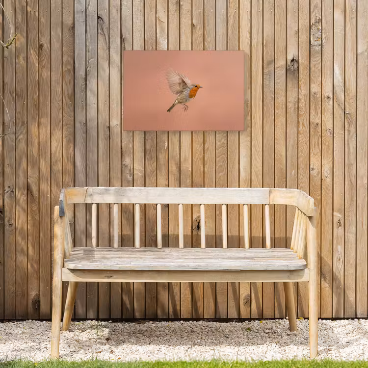 Roodborst - Natuur - Roze Tuinposter op houten frame 2 cm dik klein -sfeer4