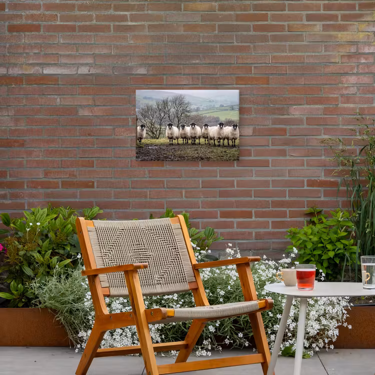 Schapen - Rij - Weide - Dieren - Platteland Tuinposter op houten frame 2 cm dik klein -sfeer3