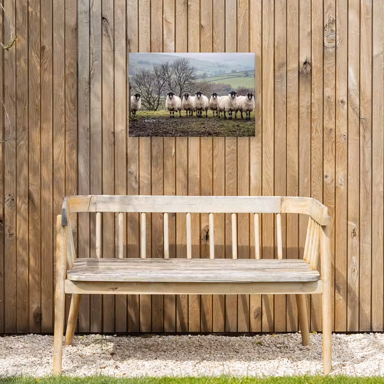 Schapen - Rij - Weide - Dieren - Platteland Tuinposter op houten frame 2 cm dik klein -sfeer4