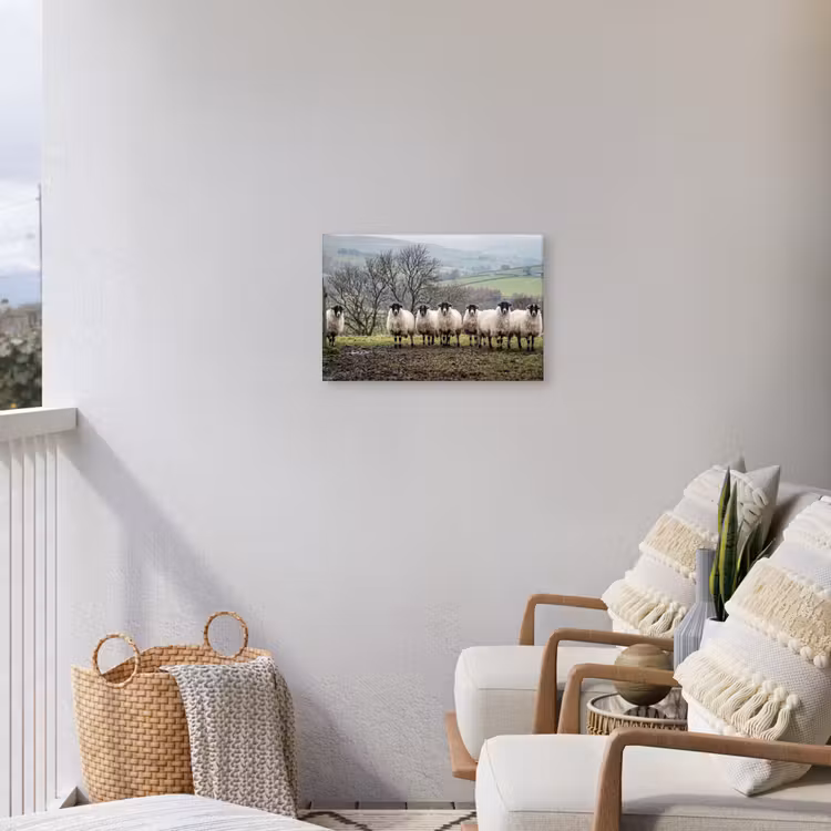 Schapen - Rij - Weide - Dieren - Platteland Tuinposter op houten frame 2 cm dik klein -sfeer1