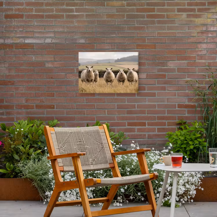Schapen - Weidenlandschap - Heuvels Tuinposter op houten frame 2 cm dik klein -sfeer3