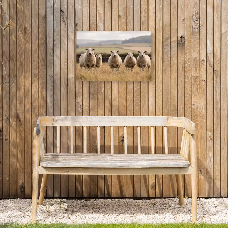 Schapen - Weidenlandschap - Heuvels Tuinposter op houten frame 2 cm dik klein -sfeer4