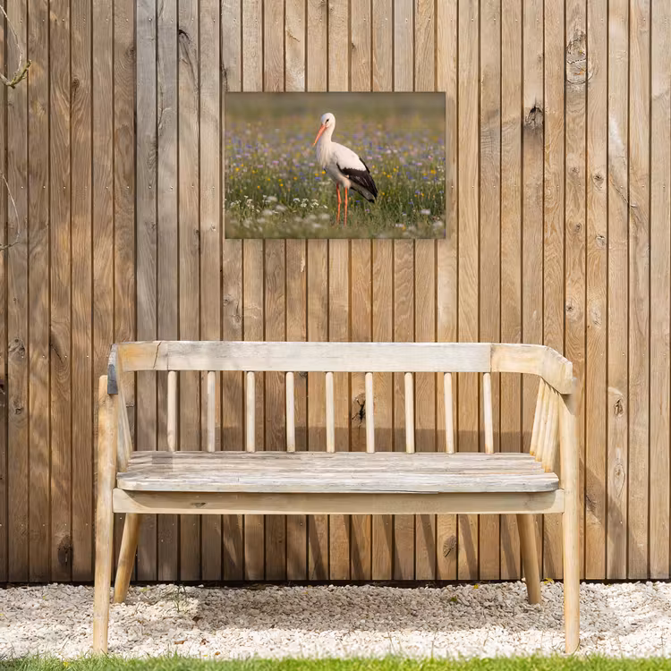 Ooienvaar - Bloemen - Weide - Kleurrijk Tuinposter op houten frame 2 cm dik klein -sfeer4