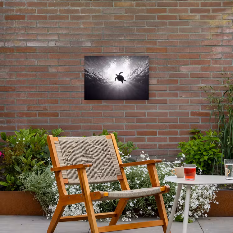 Schildpad - Onderwater - Lichtstralen - Oceaan - Zwart-wit Tuinposter op houten frame 2 cm dik klein -sfeer3