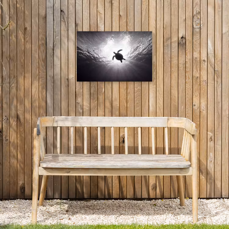 Schildpad - Onderwater - Lichtstralen - Oceaan - Zwart-wit Tuinposter op houten frame 2 cm dik klein -sfeer4
