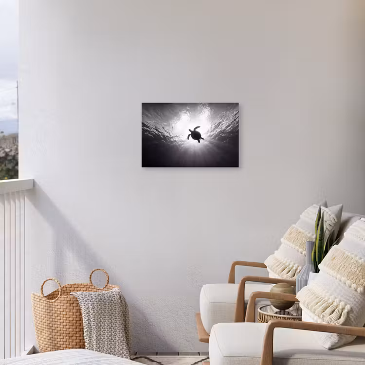 Schildpad - Onderwater - Lichtstralen - Oceaan - Zwart-wit Tuinposter op houten frame 2 cm dik klein -sfeer1