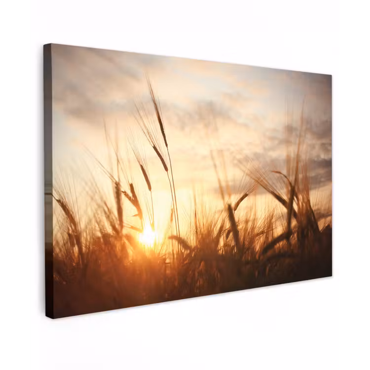 Riet - Gras - Zonsondergang - Natuur - Horizon Tuinposter op houten frame 2 cm dik klein -3d