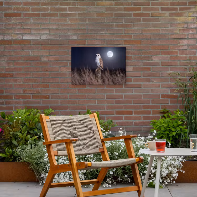 Kerkuil - Maan - Nacht Tuinposter op houten frame 2 cm dik klein -sfeer3