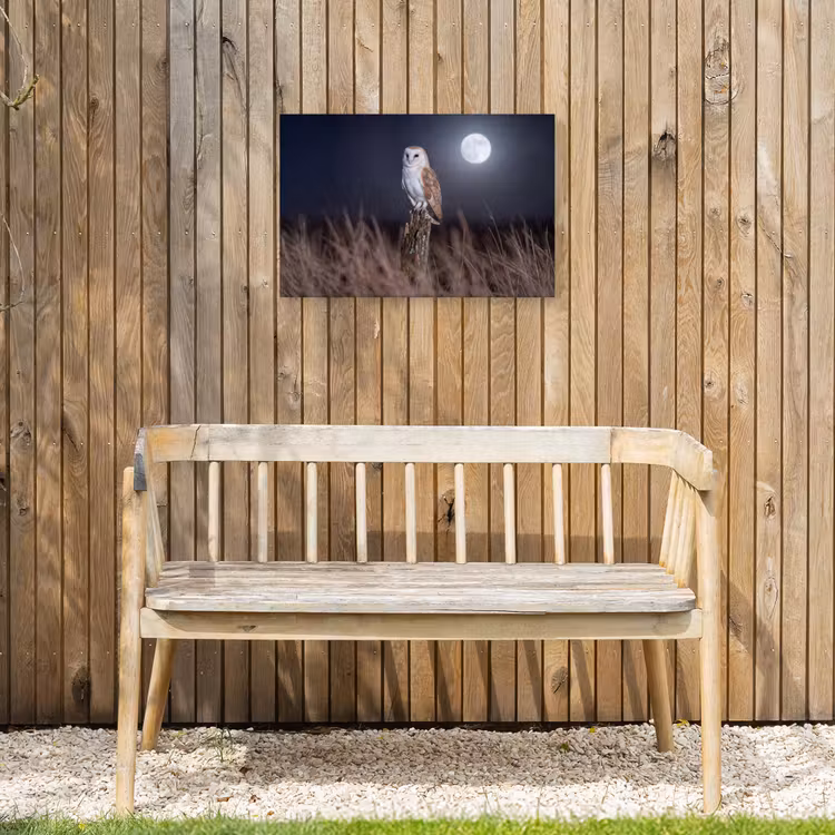 Kerkuil - Maan - Nacht Tuinposter op houten frame 2 cm dik klein -sfeer4
