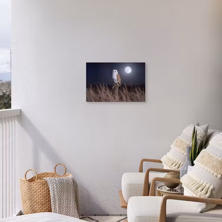 Kerkuil - Maan - Nacht Tuinposter op houten frame 2 cm dik klein -sfeer1