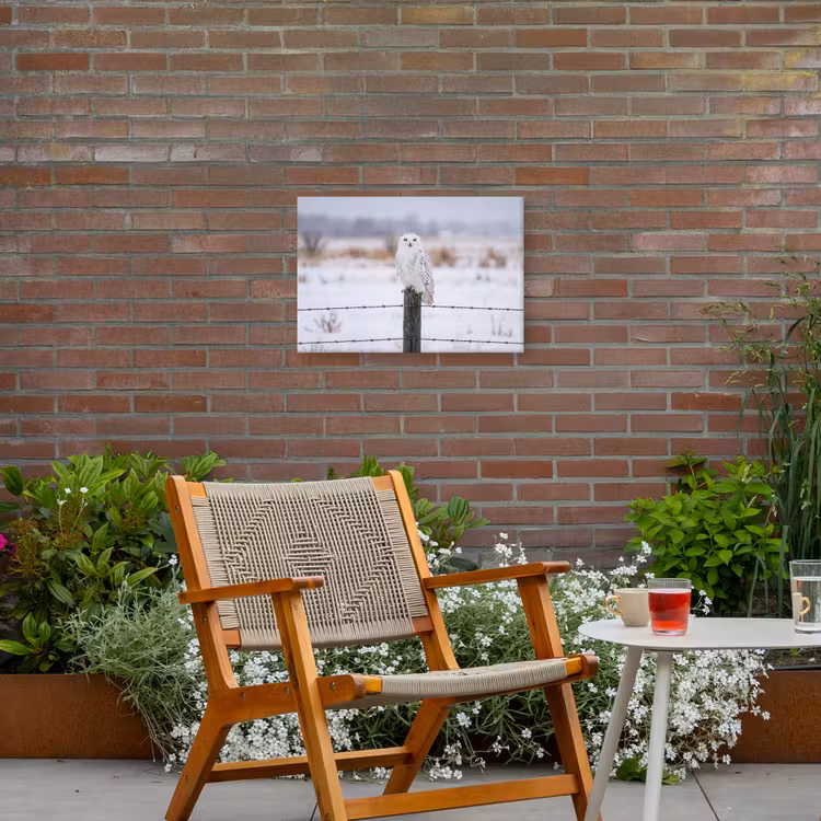 Sneeuwuil - Hek - Sneeuw - Wit Tuinposter op houten frame 2 cm dik klein -sfeer3