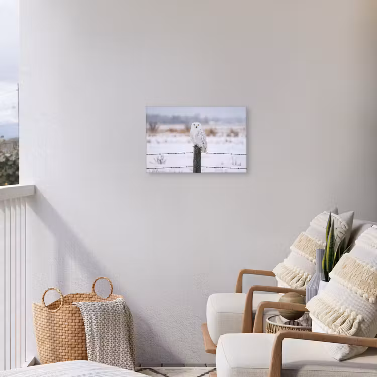 Sneeuwuil - Hek - Sneeuw - Wit Tuinposter op houten frame 2 cm dik klein -sfeer1