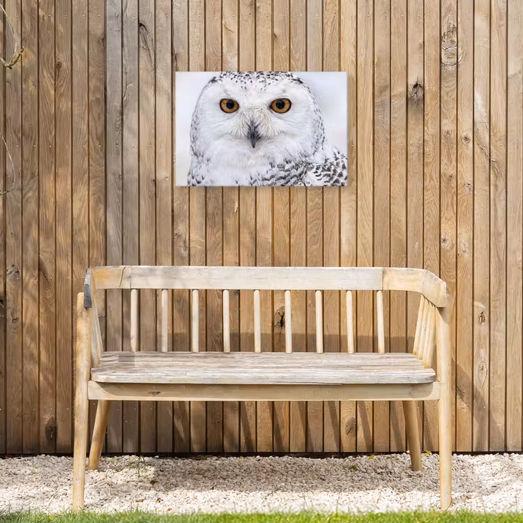 Sneeuwuil - Oog - Wildlife - Wit Tuinposter op houten frame 2 cm dik klein -sfeer4
