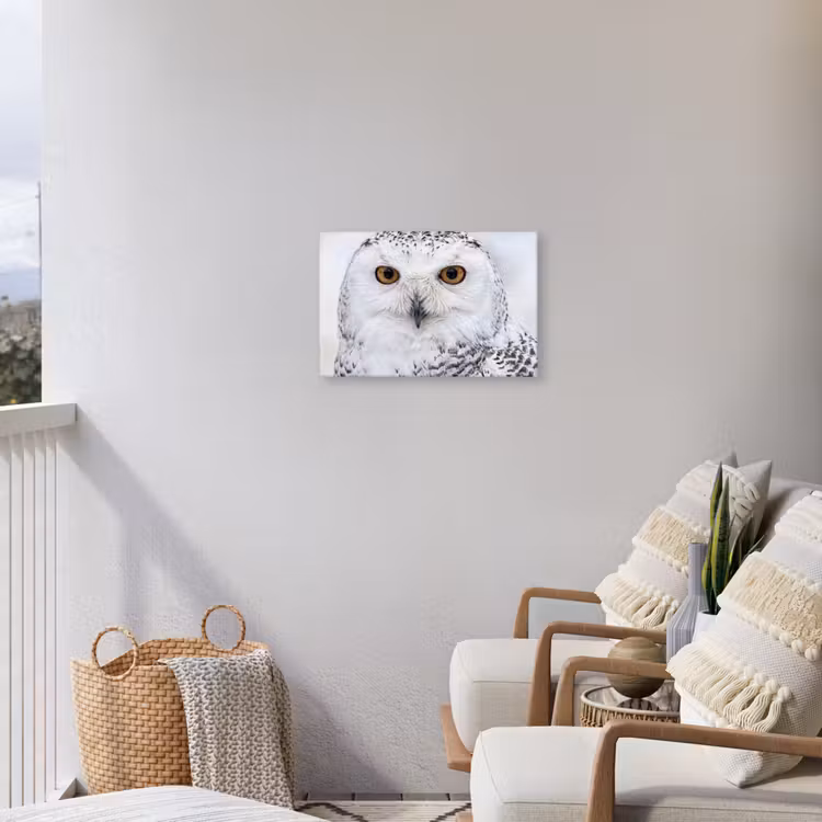 Sneeuwuil - Oog - Wildlife - Wit Tuinposter op houten frame 2 cm dik klein -sfeer1