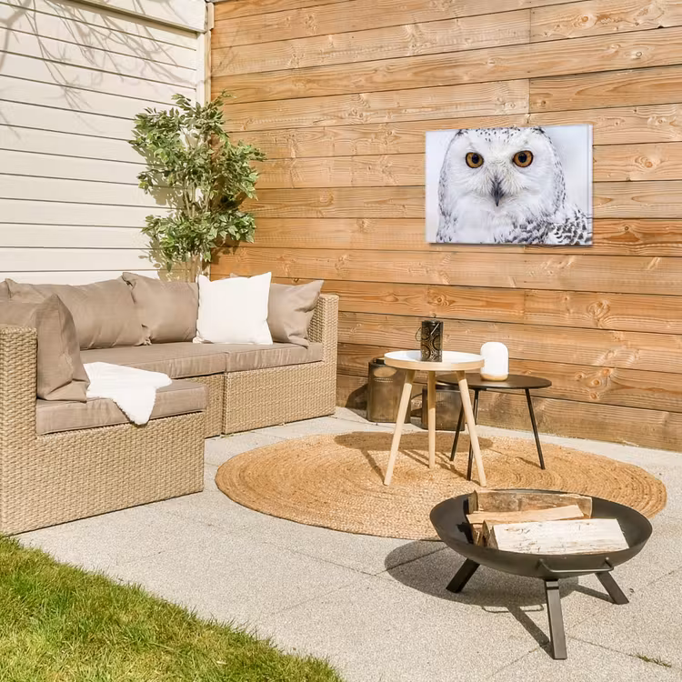 Sneeuwuil - Oog - Wildlife - Wit Tuinposter op houten frame 2 cm dik klein -sfeer2