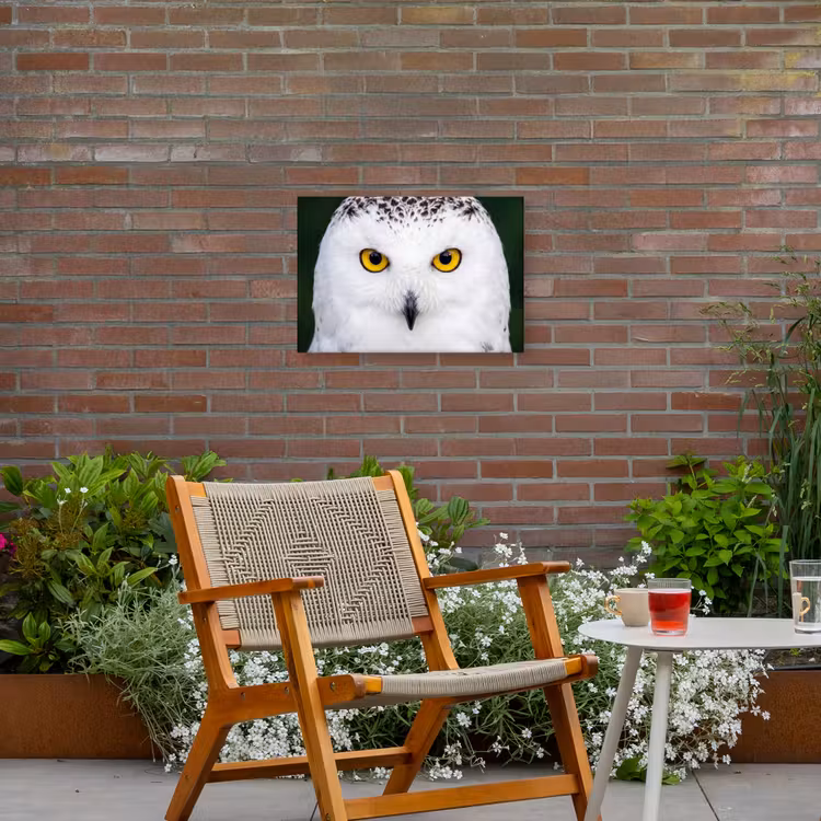 Sneeuwuil - Portret - Geel Tuinposter op houten frame 2 cm dik klein -sfeer3