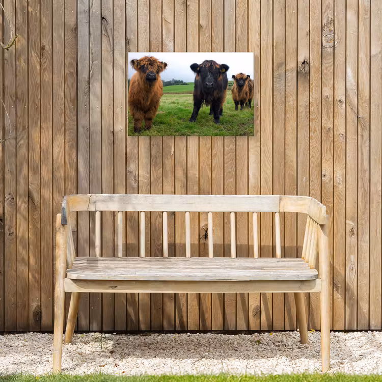 Schotse hooglander - Koeien - Natuur - Groen - Gras Tuinposter op houten frame 2 cm dik klein -sfeer4