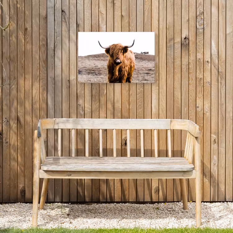 Schotse hooglander - Landschap - Koe - Bruin - Dieren - Natuur Tuinposter op houten frame 2 cm dik klein -sfeer4