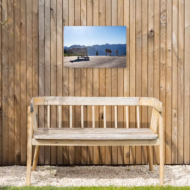 Schotse hooglander - Licht - Berg - Natuur Tuinposter op houten frame 2 cm dik klein -sfeer4