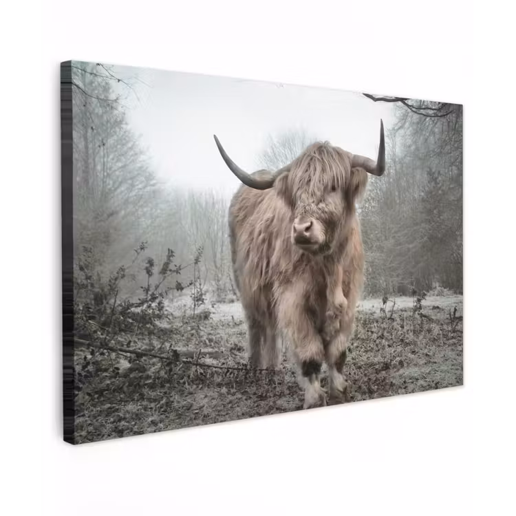 Schotse hooglander - Natuur - Herfst - Dieren - Wild - Bos Tuinposter op houten frame 2 cm dik klein -3d