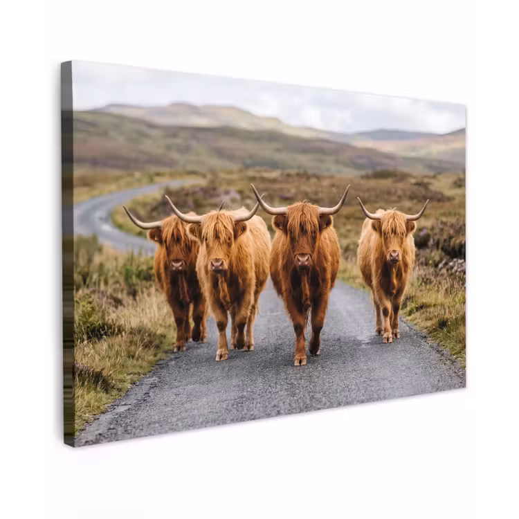 Schotse Hooglanders - Weg - Landschap - Kudde Tuinposter op houten frame 2 cm dik klein -3d