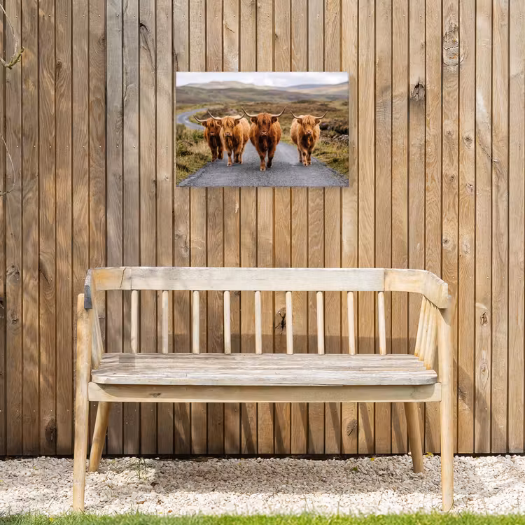 Schotse Hooglanders - Weg - Landschap - Kudde Tuinposter op houten frame 2 cm dik klein -sfeer4