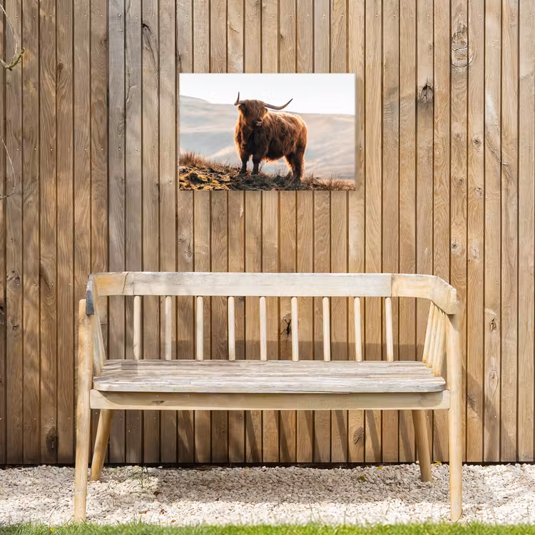 Schotse hooglander - Dieren - Landelijk - Landschap - Koe - Natuur Tuinposter op houten frame 2 cm dik klein -sfeer4