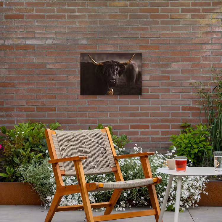 Schotse hooglander - Goud - Koebel - Hoorns - Dieren Tuinposter op houten frame 2 cm dik klein -sfeer3