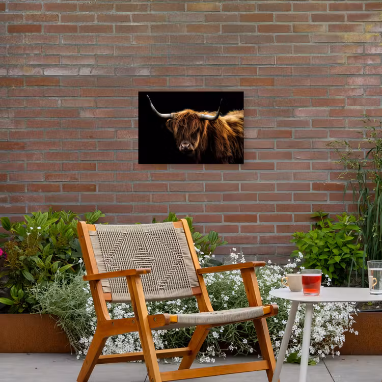 Schotse Hooglander - Horens - Zwart - Dieren - Natuur - Wild - Koe Tuinposter op houten frame 2 cm dik klein -sfeer3