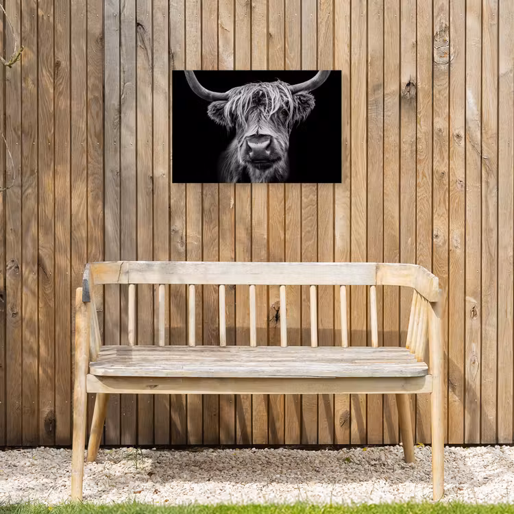 Schotse Hooglander - Horens - Zwart - Wit - Koe - Wild - Dieren Tuinposter op houten frame 2 cm dik klein -sfeer4