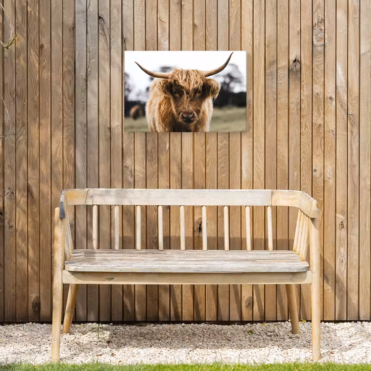 Schotse Hooglander - Koe - Gras - Dieren - Natuur Tuinposter op houten frame 2 cm dik klein -sfeer4