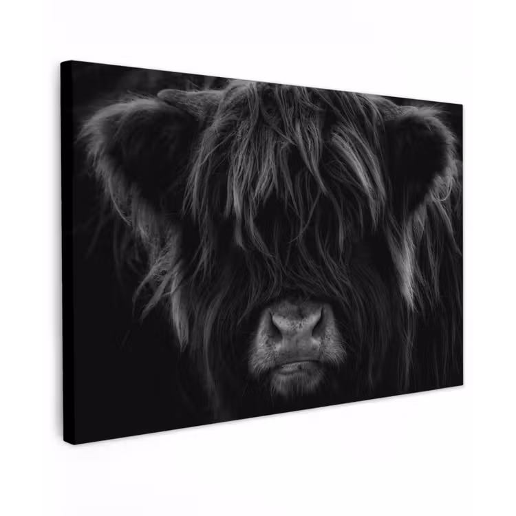 Schotse hooglander - Koe - Zwart - Wit - Dieren Tuinposter op houten frame 2 cm dik klein -3d