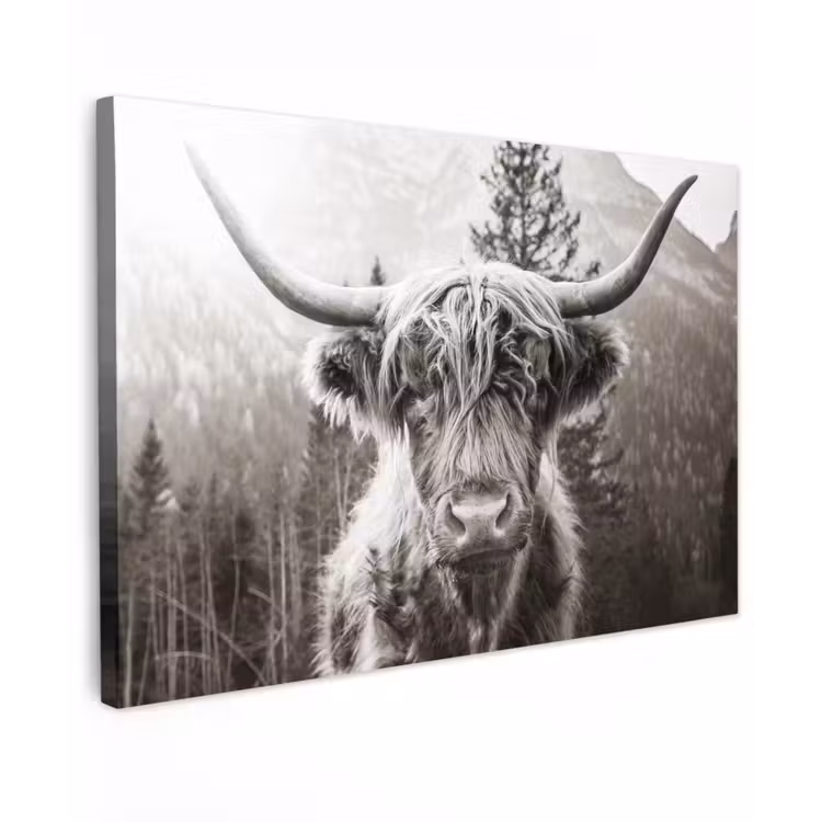 Schotse hooglander - Koe - Dieren - Zwart - Wit Tuinposter op houten frame 2 cm dik klein -3d