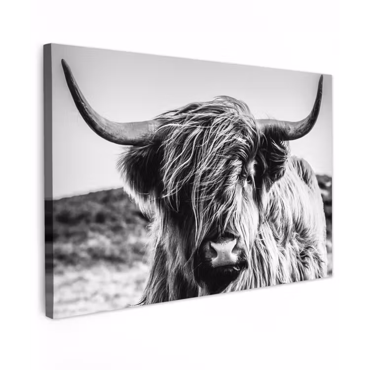 Schotse hooglander - Close up - Horens - Vacht - Zwart Wit Tuinposter op houten frame 2 cm dik klein -3d
