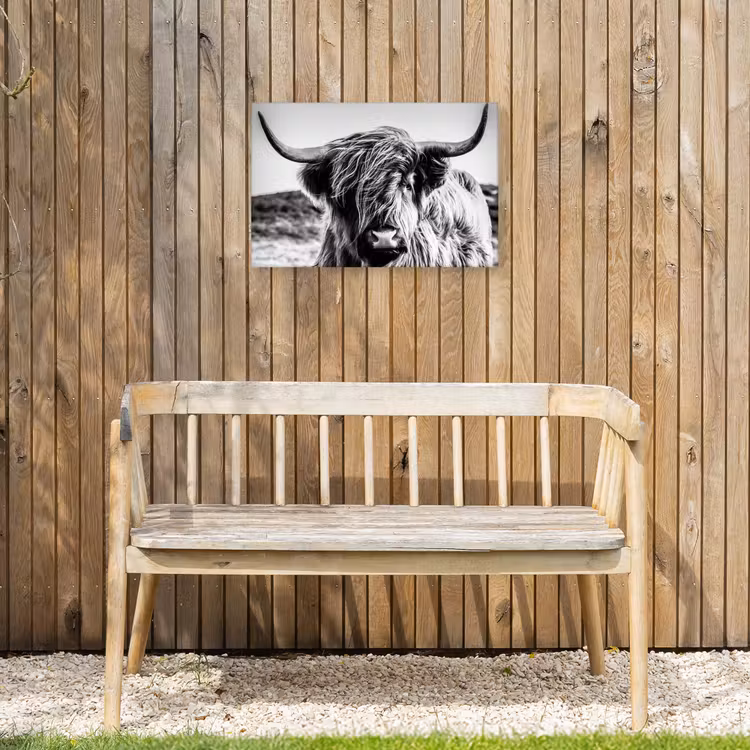Schotse hooglander - Close up - Horens - Vacht - Zwart Wit Tuinposter op houten frame 2 cm dik klein -sfeer4
