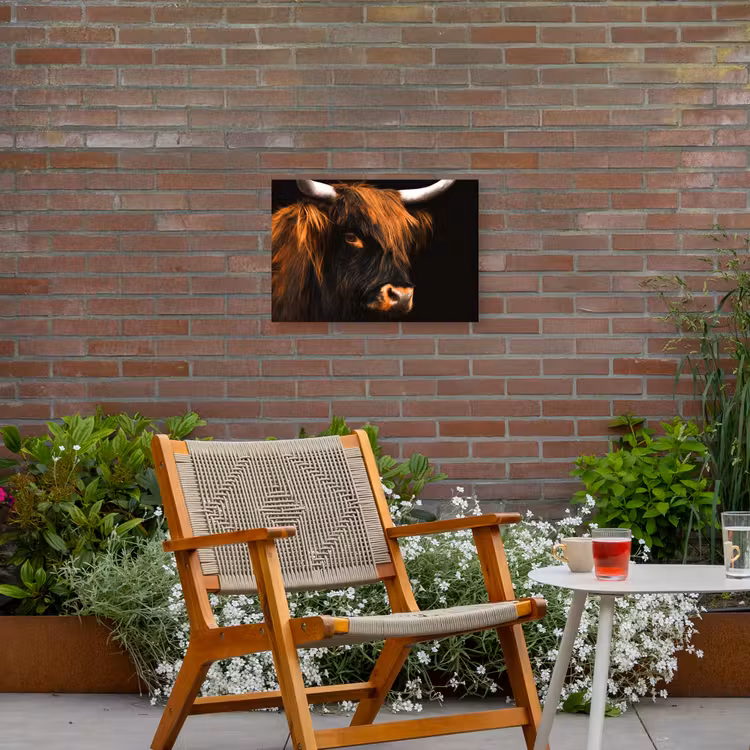 Schotse hooglander - Zwart - Koe - Hoorn - Dieren Tuinposter op houten frame 2 cm dik klein -sfeer3